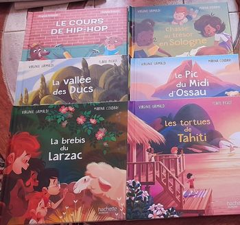Lot 6 livres contes enfants