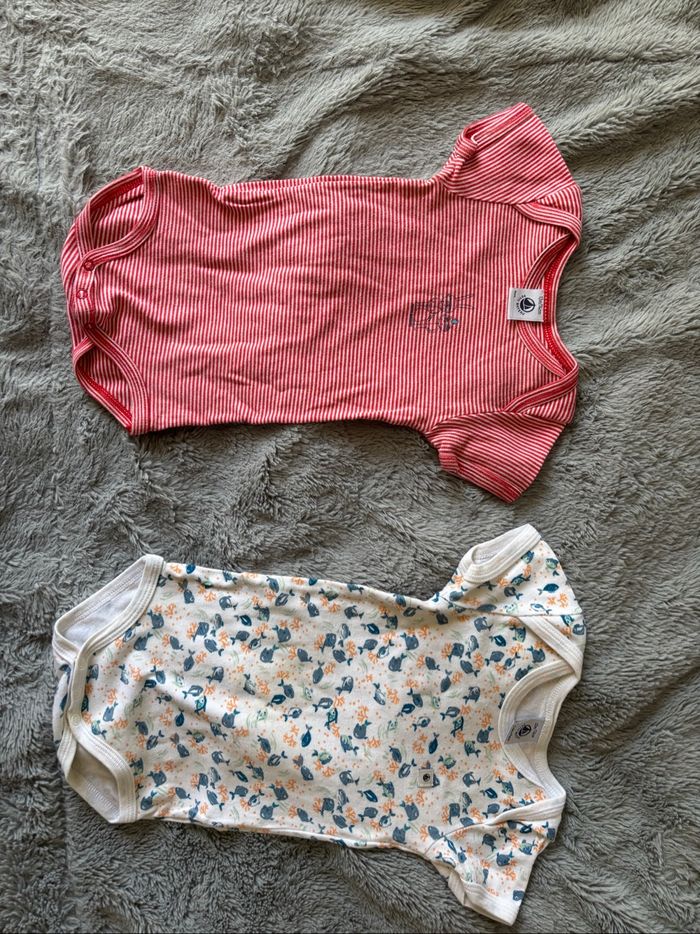 Bodies