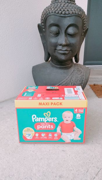 Pants pampers