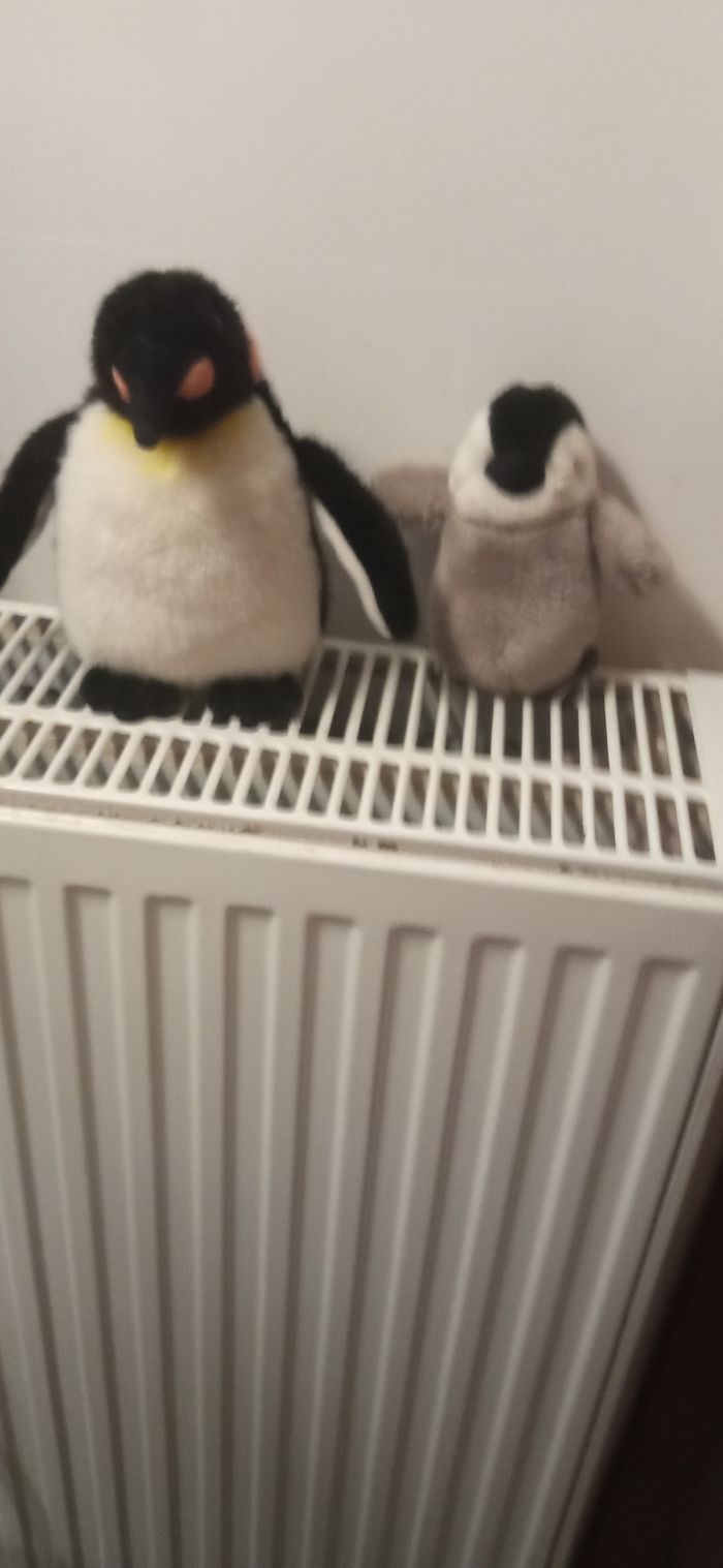 Nounous - photo numéro 2