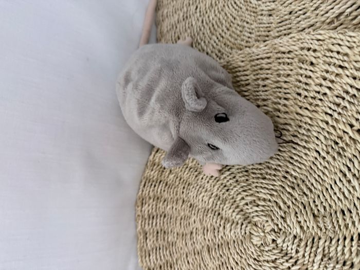 Peluche Doudou Rat Souris Grise - Gosig Ratta - IKEA - photo numéro 2