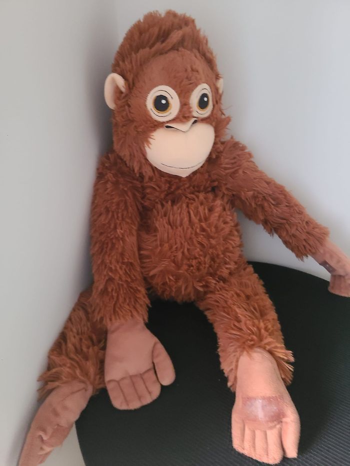 orang-outan - photo numéro 3