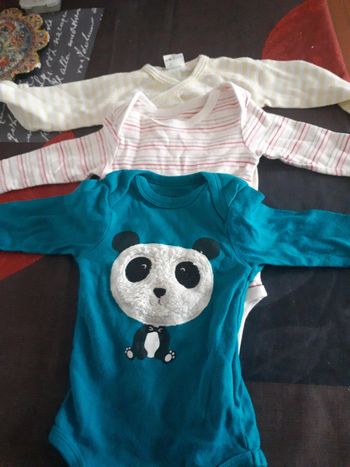 Lot de 3 bodies kitchoun