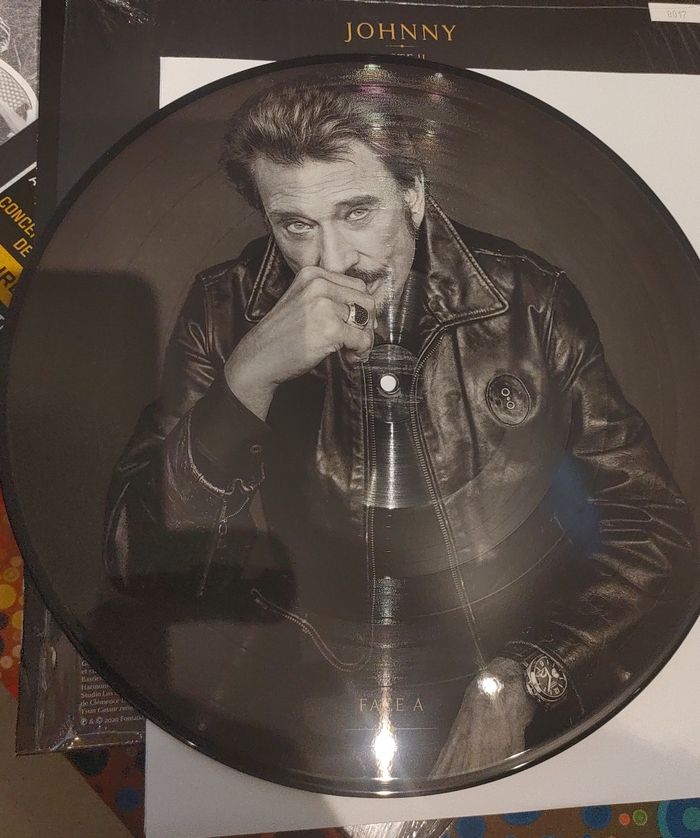 Vinyl johnny Halliday 33T - photo numéro 3