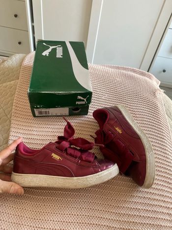 Baskets, puma, bordeaux, taille 35