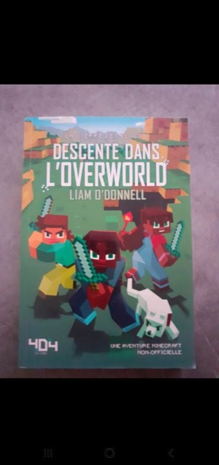 Descente dans l 'overworld