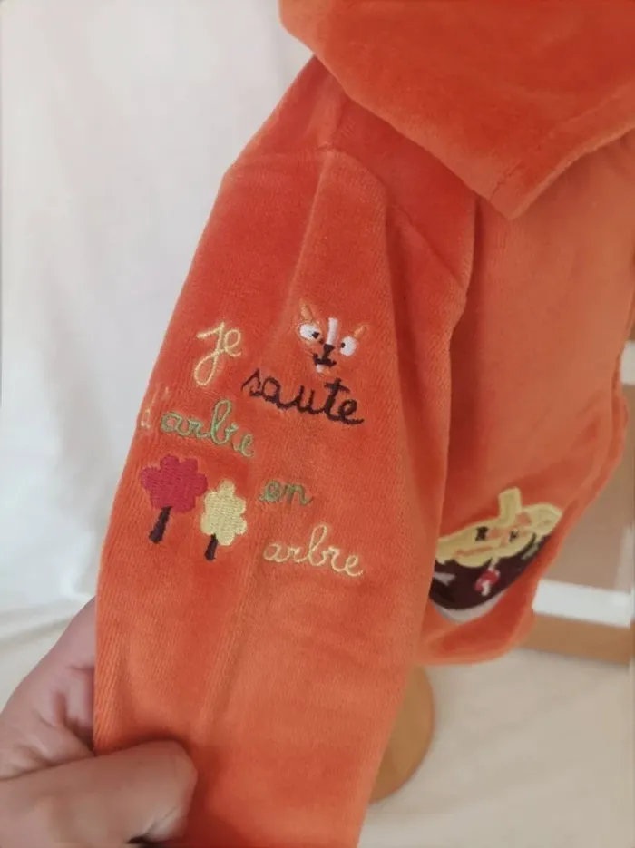 Gilet à capuche toucher velours Du Pareil au Même garçon 6 mois - photo numéro 3