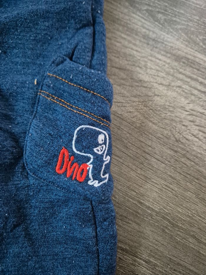 Jogging dinosaure - photo numéro 2