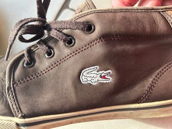 Chaussures Lacoste en 43