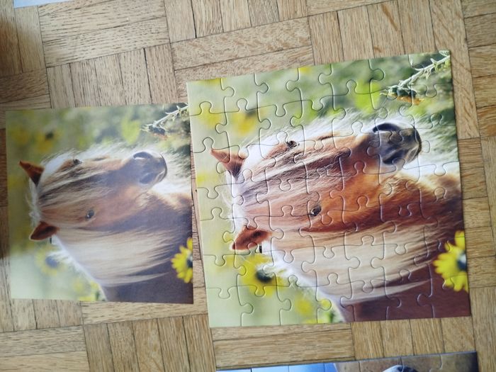 Puzzle chevaux 3×49 ravensburger - photo numéro 5