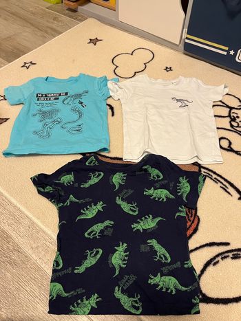 Lot de 3 tshirts 24 mois