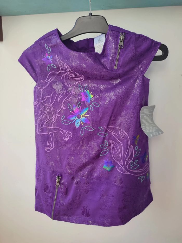 Robe raya et le dernier dragon 🐉