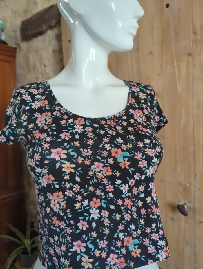 Top Terranova M