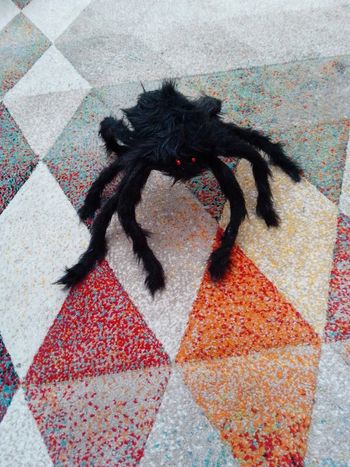 Peluche grande araignée noire