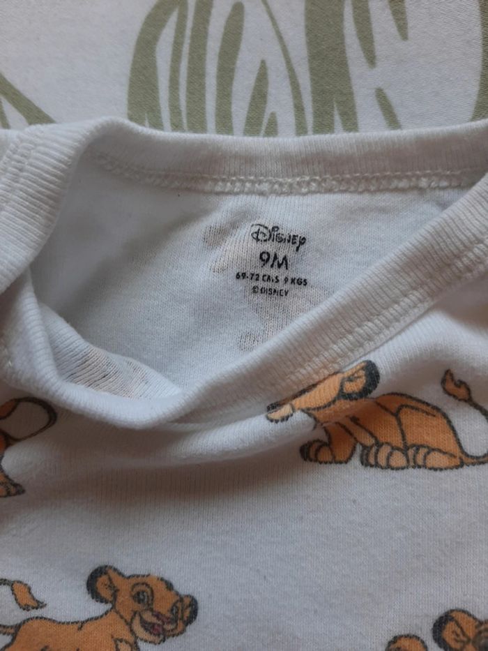 Bodie roi lion 9mois - photo numéro 2