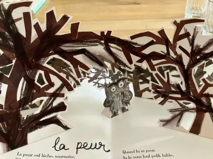 Livre la couleur des émotions - photo numéro 8