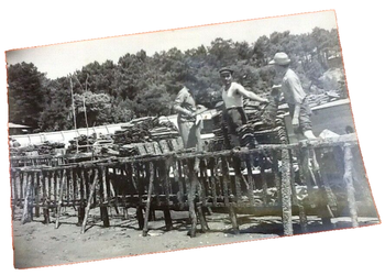 Carte postale ancienne Bassin d' Arcachon (Gironde) Travaux Ostréicoles (Le détroquage)