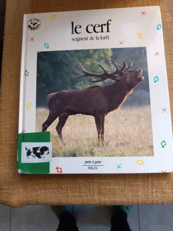 Le cerf, Seigneur de la forêt.