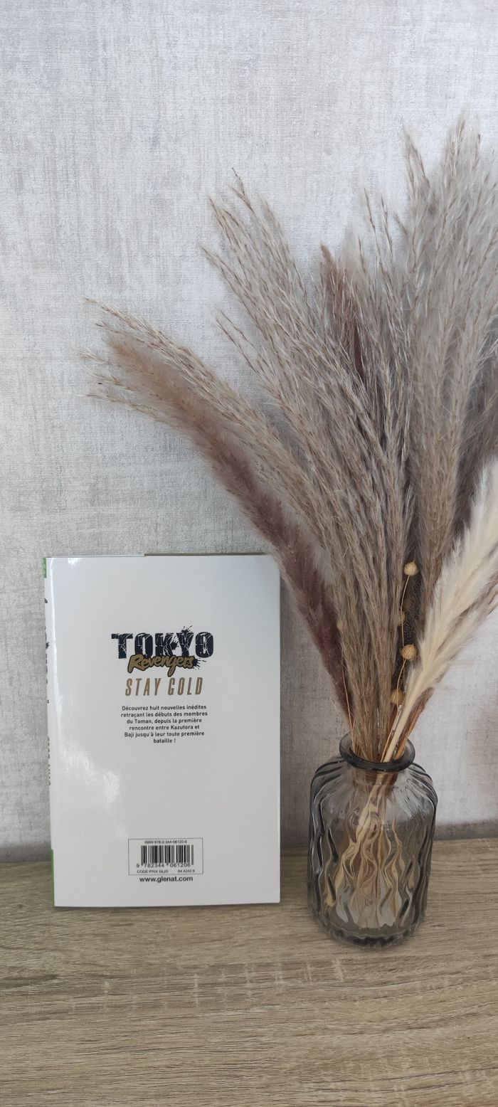 Tokyo revengers 2 - photo numéro 2