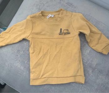 Pull 12 mois