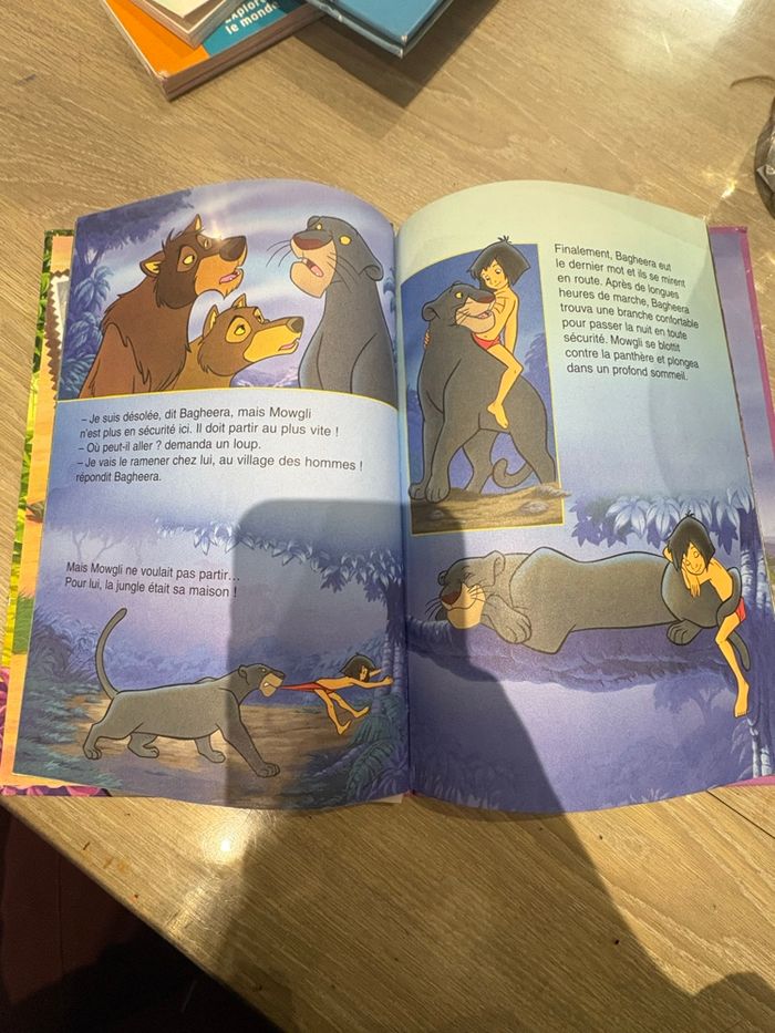 Le livre de la jungle - photo numéro 2