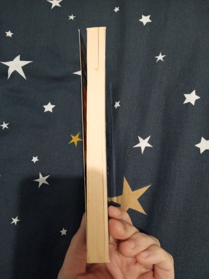 Livre (103) 📚 Nouvelles du monde - photo numéro 4