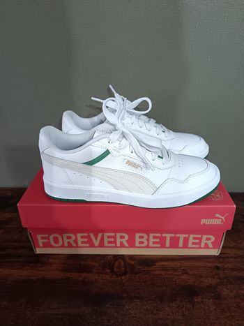 Basket puma 