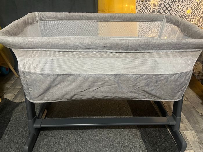 Cododo bébé - photo numéro 6