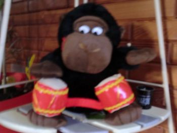 singe musical, gorille musical