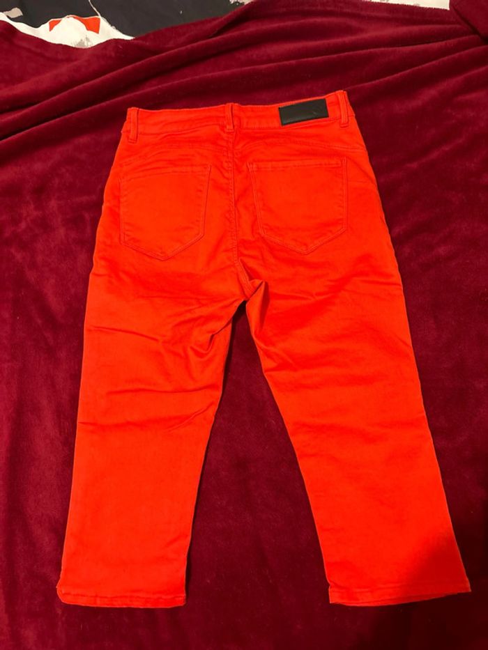 Bermuda - photo numéro 4