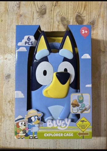 Bluey explorer case