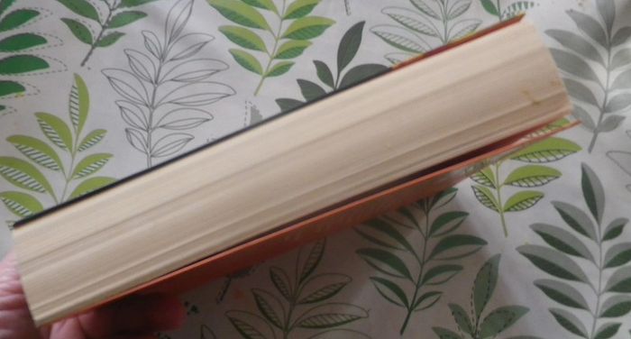 Los Angeles River de Michael Connelly Ed. France Loisirs - photo numéro 4