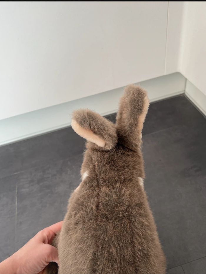 Peluche lapin 35cm de hauteur toute douce en excellent état - photo numéro 3