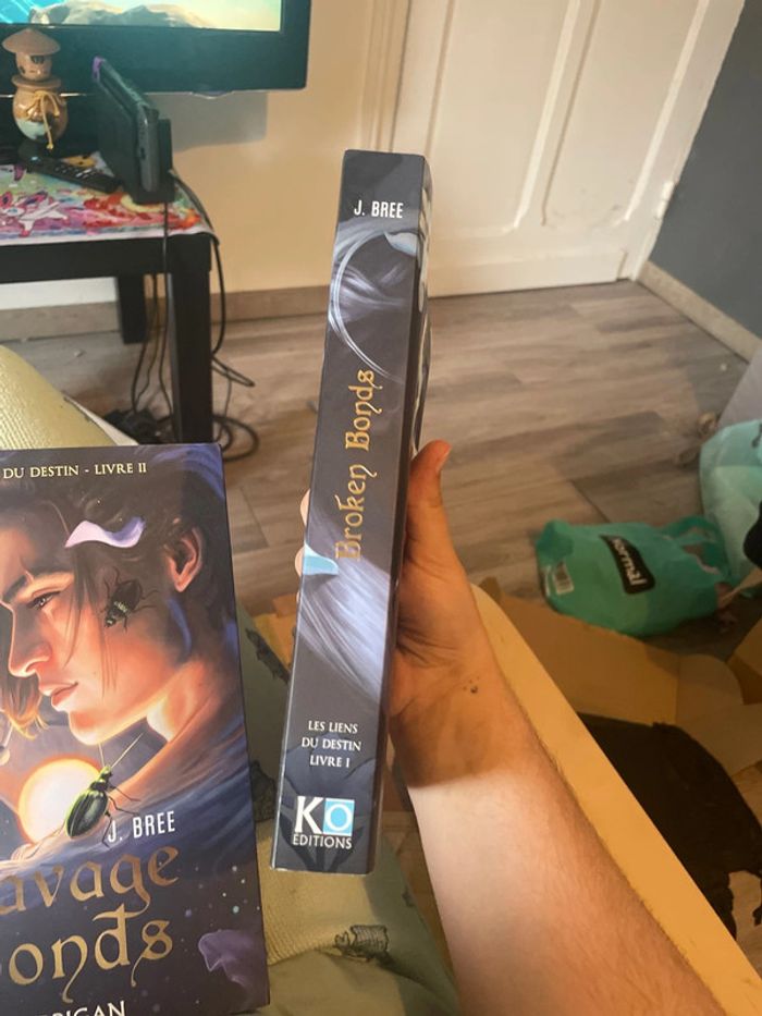 Les liens du destin tome 1 et 2 - photo numéro 3