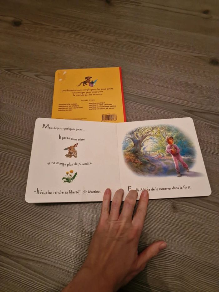 Lot 2 livres Martine - photo numéro 3
