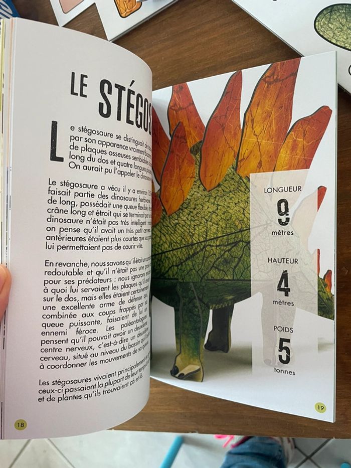 Maquette + livre Stégosaure - photo numéro 4