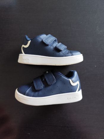Basket geox