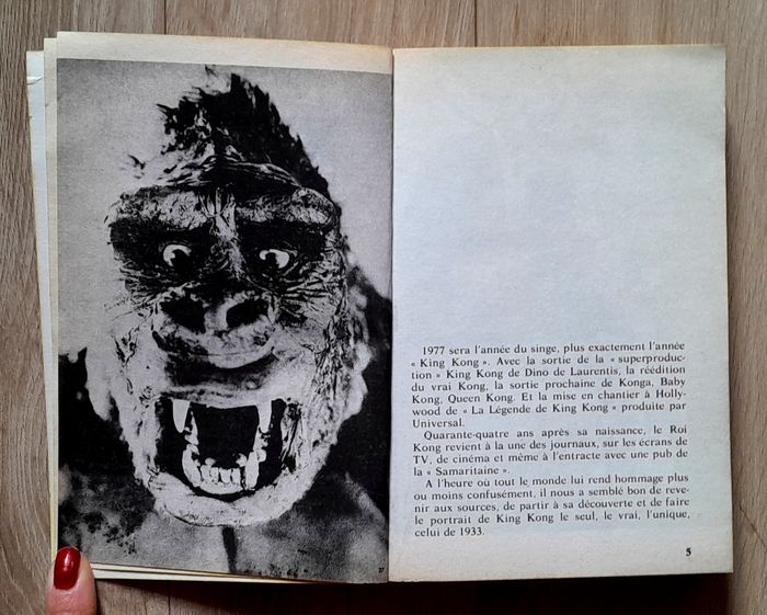 King Kong story - rene chateau - photo numéro 4