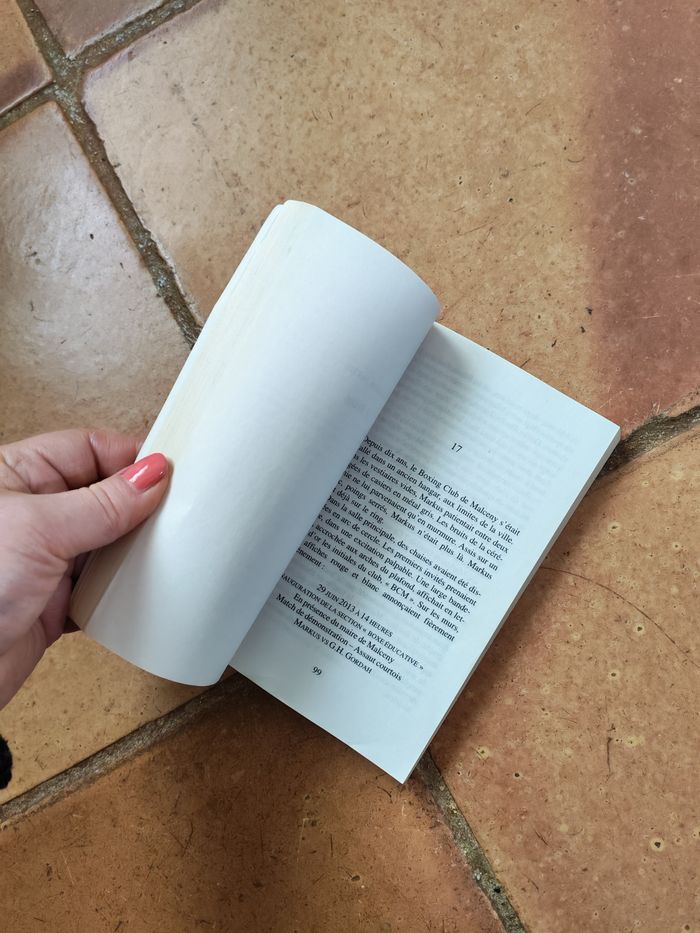 Territoires, livre d'Olivier Norek - photo numéro 3