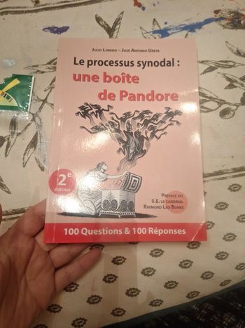 2023le processus synodal une boîte de pandore 100 questions réponses