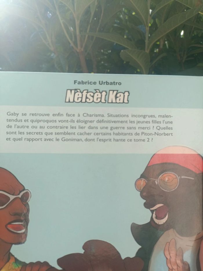 Lot du tome 1 et 2 des bandes dessinées "Nèfsèt Kat" - photo numéro 11