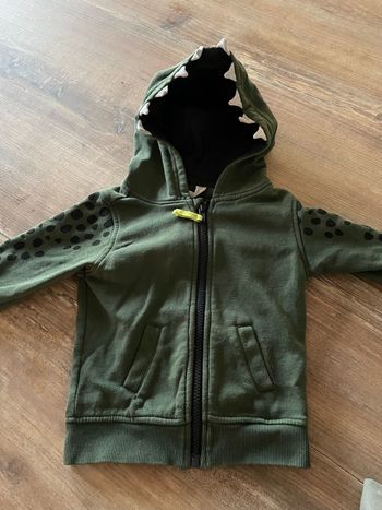 Gilet sweat dinosaure