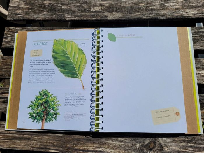 Très bel herbier Milan : L'Herbier des feuilles 🍃 72 - photo numéro 5