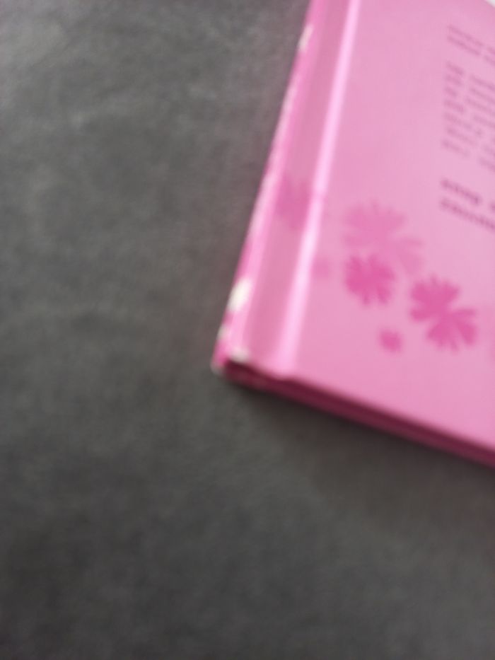 Bd les sisters tome 1 - photo numéro 3