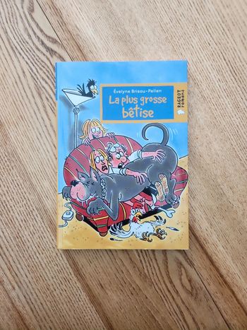 Livre la plus grosse bêtise