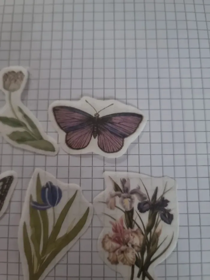 Lot stickers fleuri papier (lot B) - photo numéro 7