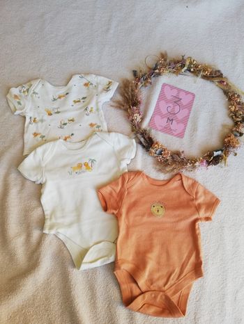 Lot de 3 bodies MC primark 3 mois