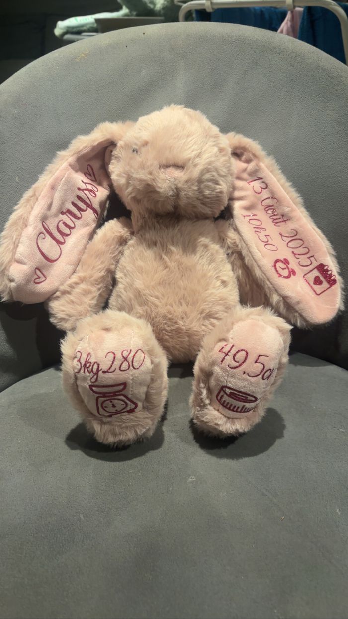 Lapin de naissance - photo numéro 3