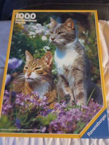 Puzzle 1000 pièces