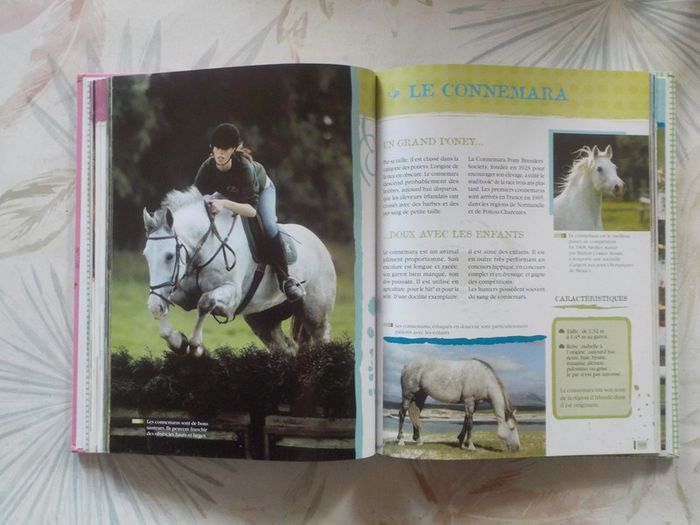 Au galop ! avec Sophie Thalmann Tout savoir sur le cheval - photo numéro 10